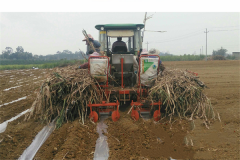 2CZ-2 SUGARCANE PLANTER